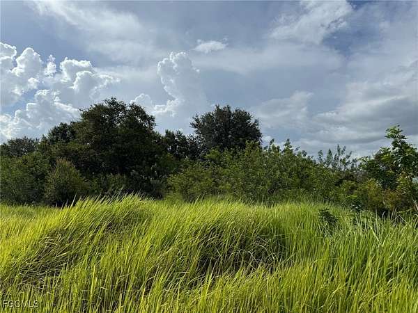 13.3 Acres of Land for Sale in LaBelle, Florida