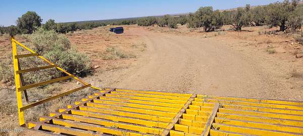 37.8 Acres of Recreational Land for Sale in Concho, Arizona