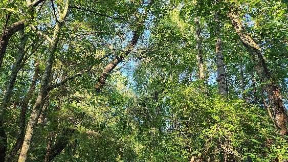 0.85 Acres of Land for Sale in Seneca, South Carolina