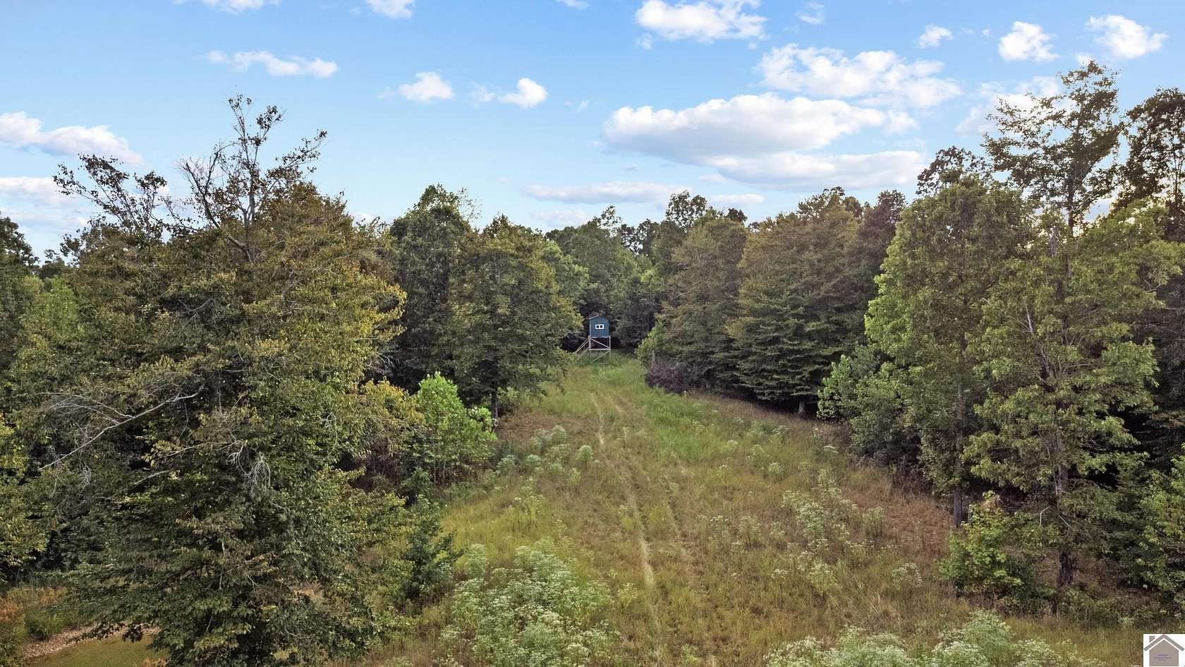 45 Acres of Recreational Land for Sale in Cadiz, Kentucky