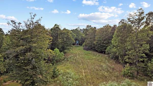 45 Acres of Recreational Land for Sale in Cadiz, Kentucky