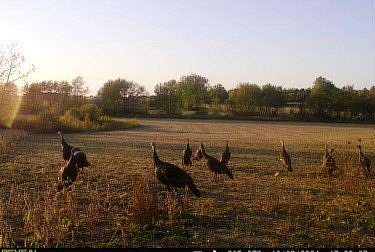 10.1 Acres of Land for Sale in Monee, Illinois