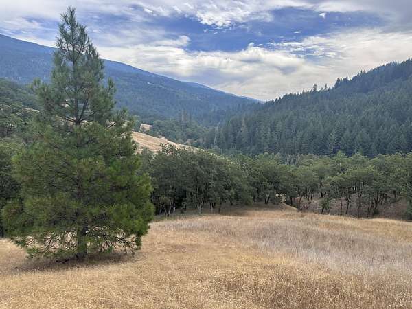 40 Acres of Recreational Land for Sale in Mad River, California