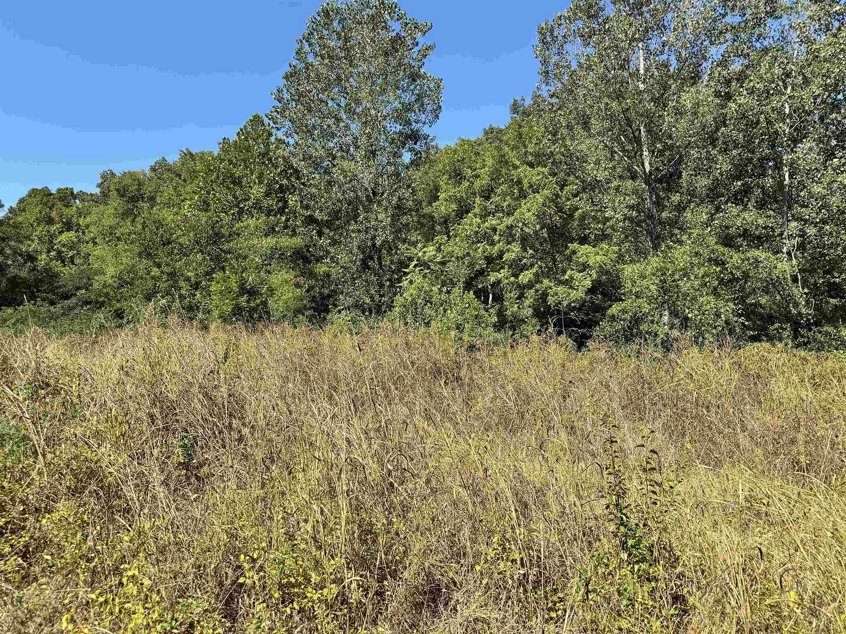 4.15 Acres of Residential Land for Sale in Savannah, Tennessee