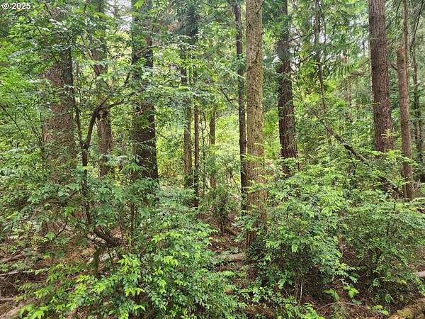 2.75 Acres of Residential Land for Sale in Port Orford, Oregon