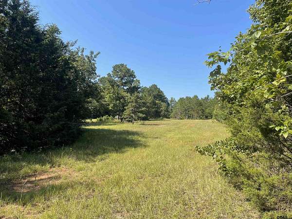 13.7 Acres of Recreational Land for Sale in Tyler, Texas