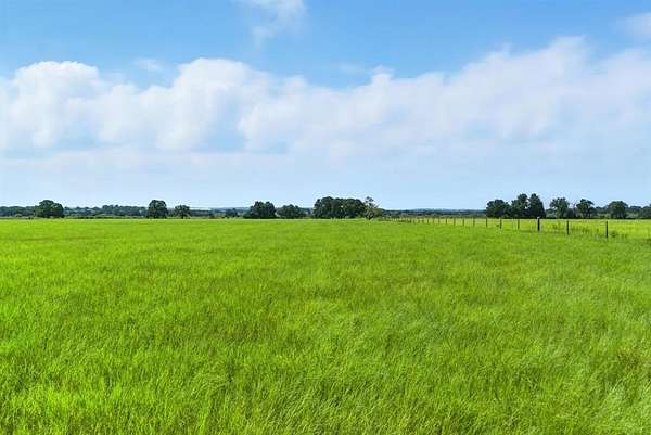 20 Acres of Agricultural Land for Sale in Lipan, Texas
