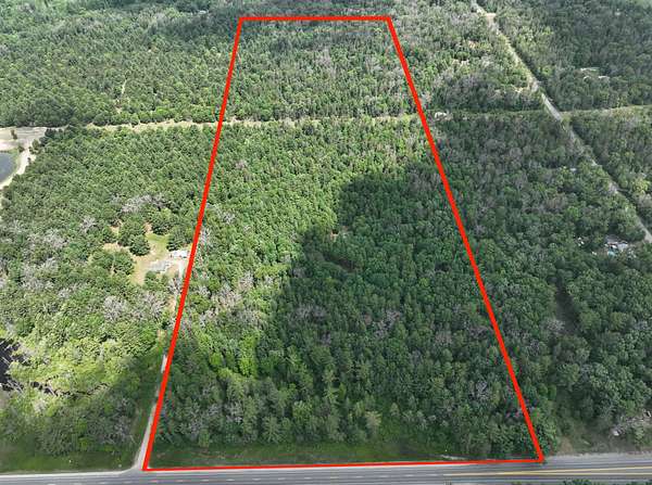 40 Acres of Land for Sale in Idlewild, Michigan