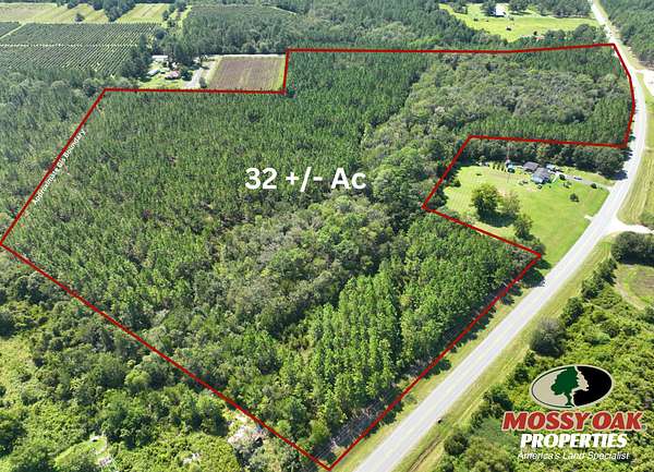 32 Acres of Recreational Land for Sale in Bristol, Georgia