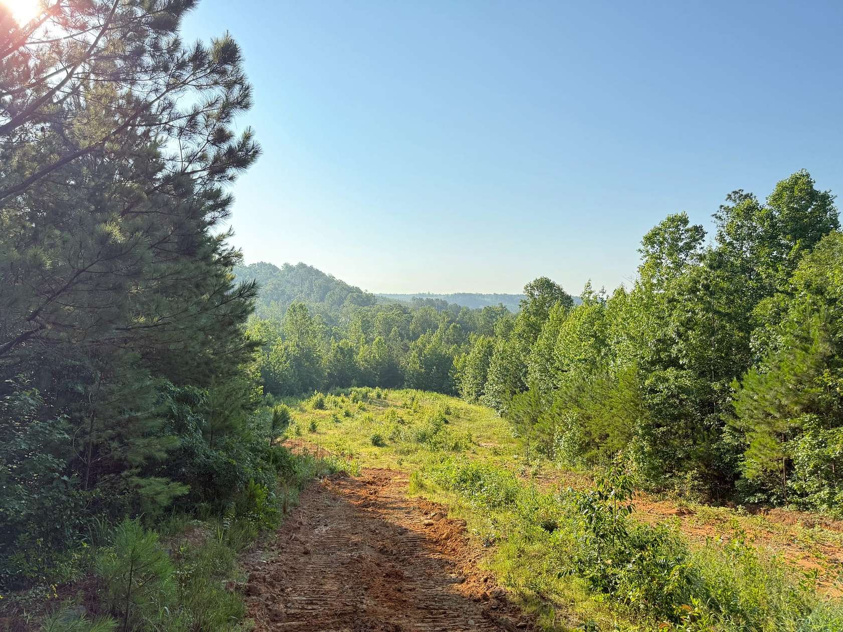 239 Acres of Recreational Land & Farm for Sale in Hackleburg, Alabama