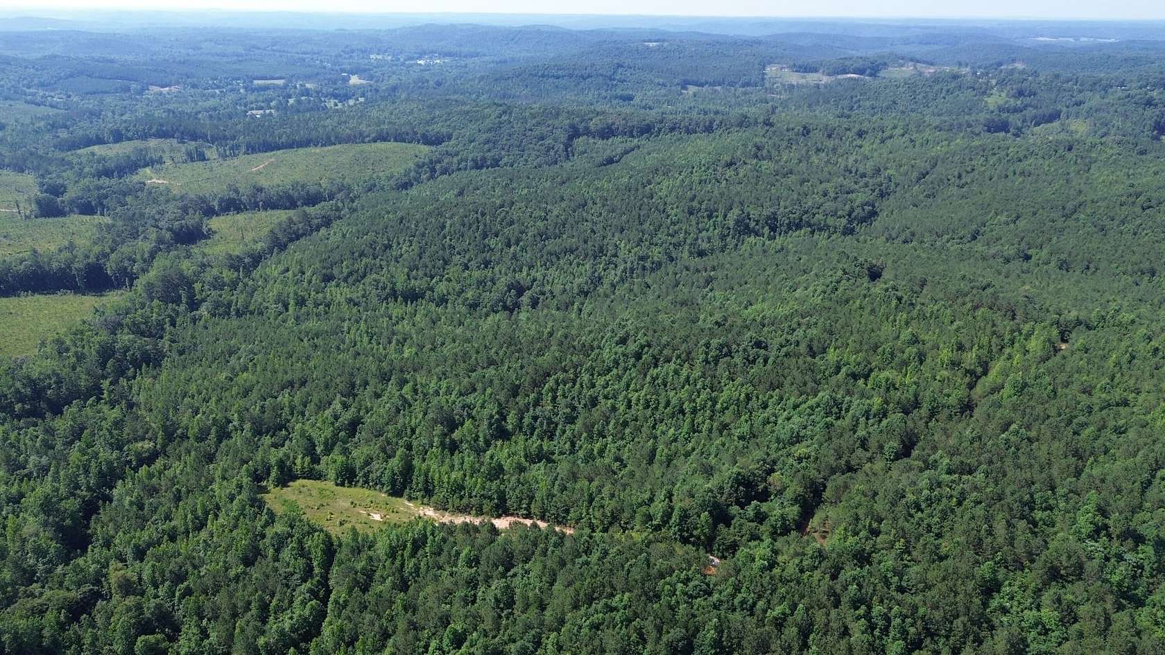 239 Acres of Land for Sale in Hackleburg, Alabama