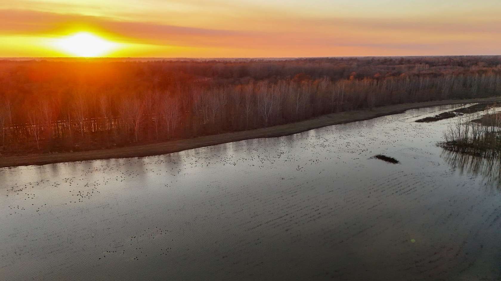 695 Acres of Recreational Land for Sale in Matthews, Missouri