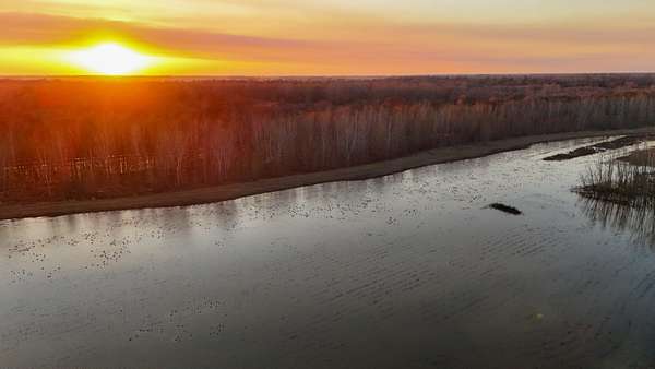 695 Acres of Recreational Land for Sale in Matthews, Missouri