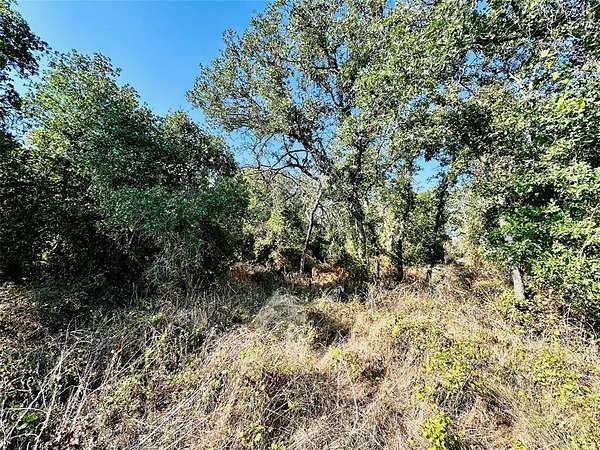 5 Acres of Residential Land for Sale in Cross Plains, Texas