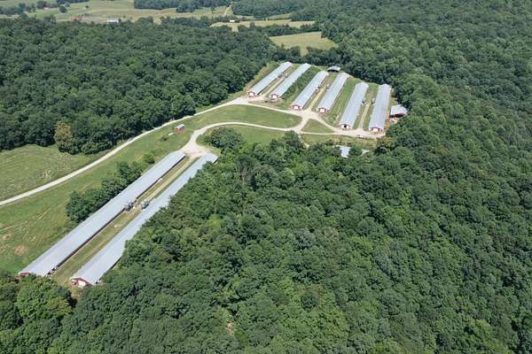 45 Acres of Agricultural Land for Sale in Byrdstown, Tennessee