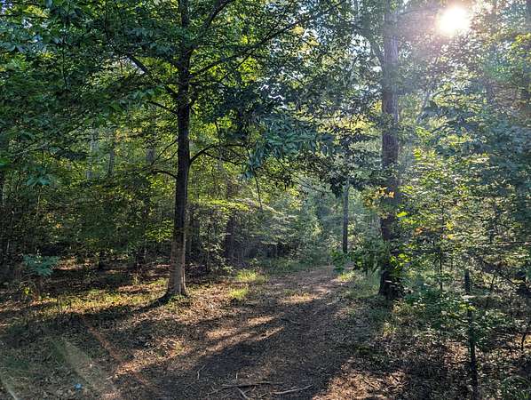 12.5 Acres of Land for Sale in Cecil, Alabama