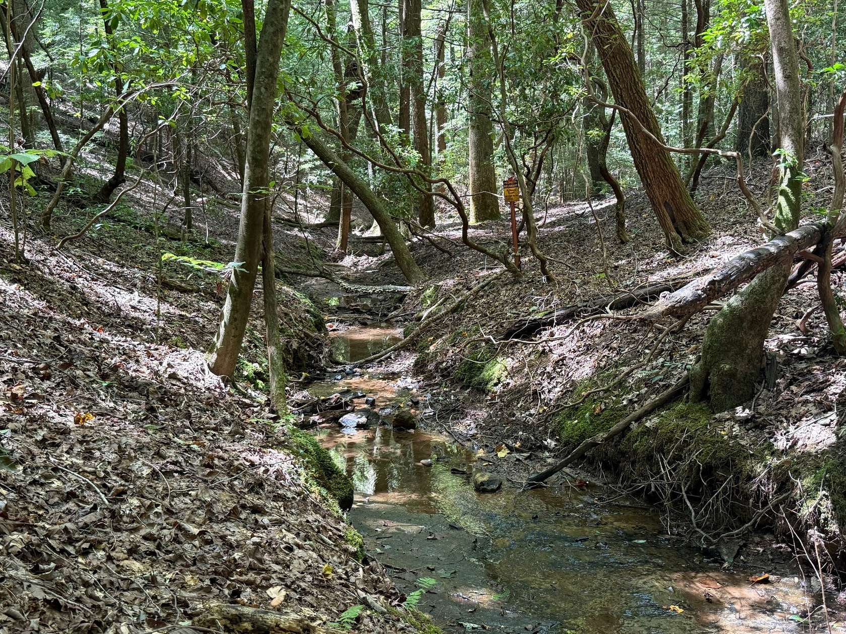 27 Acres of Recreational Land for Sale in Haleyville, Alabama