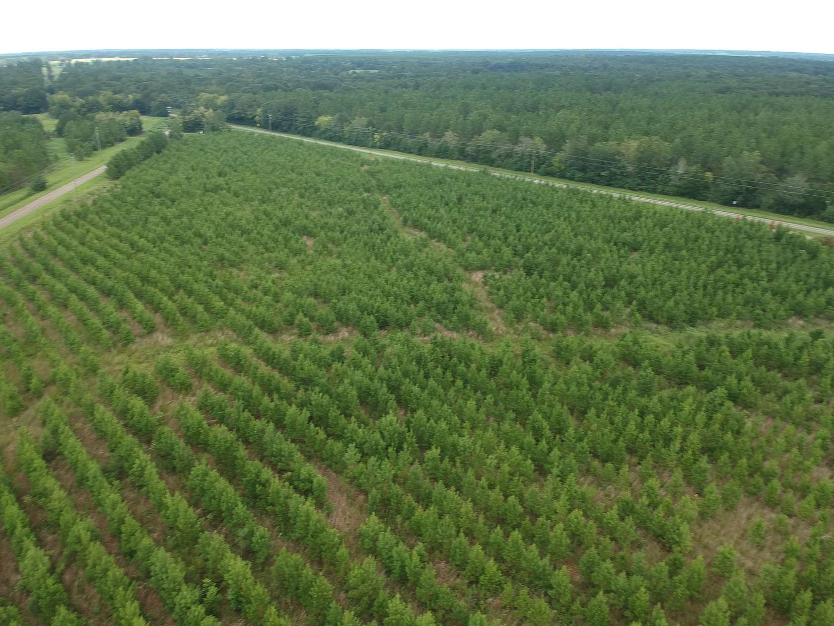 23 Acres of Land for Sale in Cuthbert, Georgia