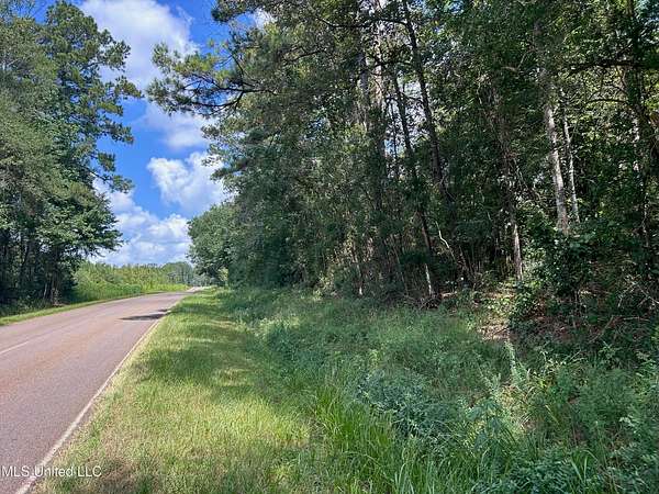 14 Acres of Land for Sale in Summit, Mississippi