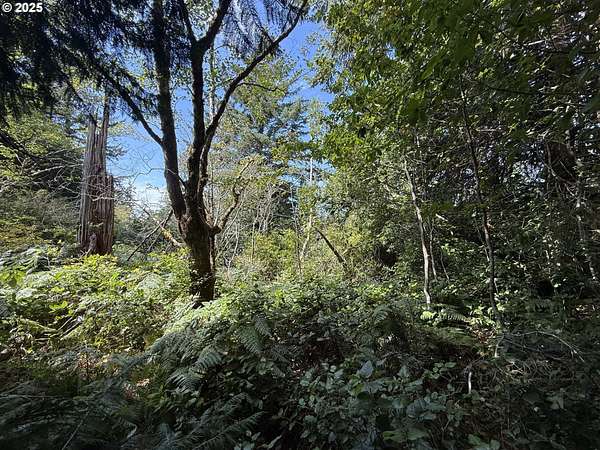 2.34 Acres of Residential Land for Sale in Port Orford, Oregon