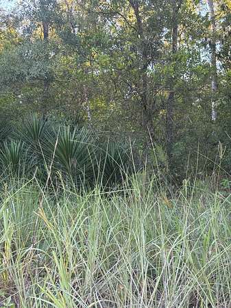 4.54 Acres of Land for Sale in Bell, Florida