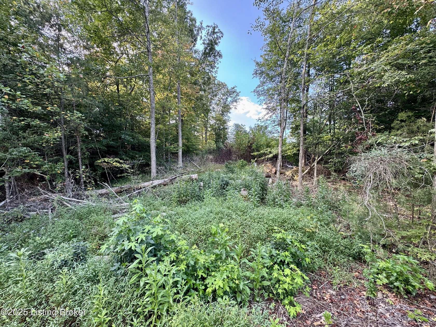 2 Acres of Residential Land for Sale in Boston, Kentucky