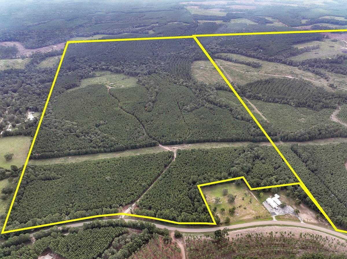 180 Acres of Land for Sale in Corrigan, Texas