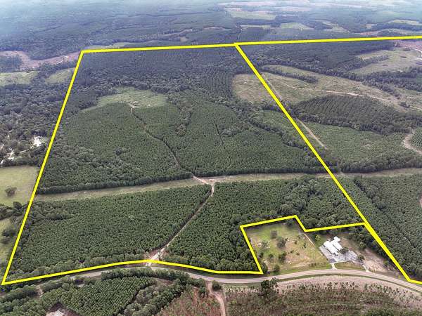 445 Acres of Recreational Land & Farm for Sale in Corrigan, Texas
