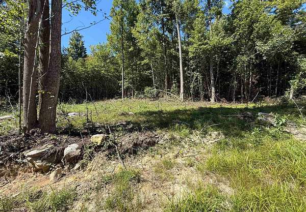 2 Acres of Residential Land for Sale in Moatsville, West Virginia