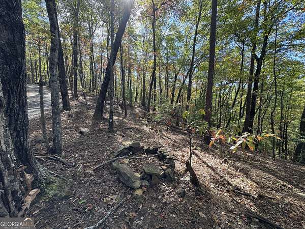 1.7 Acres of Residential Land for Sale in Cherry Log, Georgia