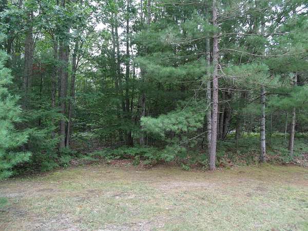 5.4 Acres of Land for Sale in Cheboygan, Michigan