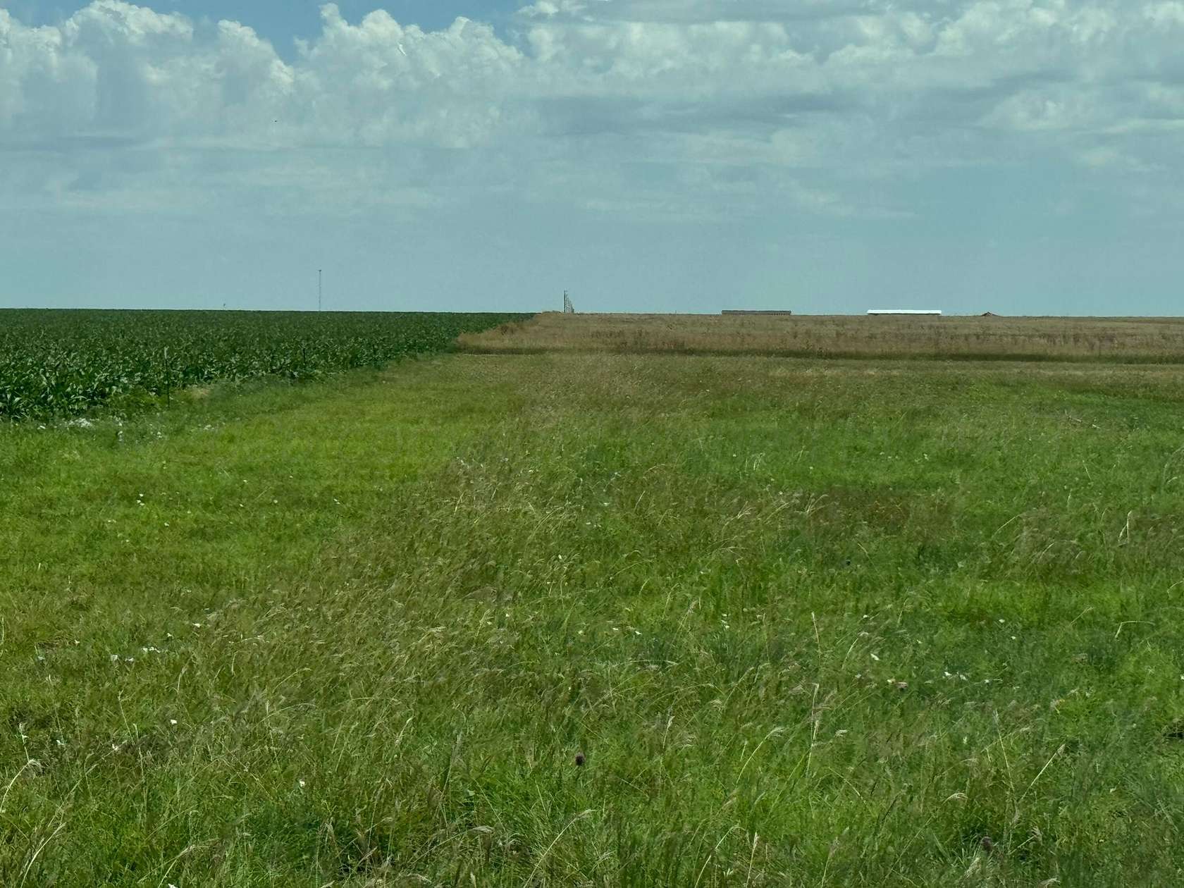 18.4 Acres of Agricultural Land for Sale in Panhandle, Texas
