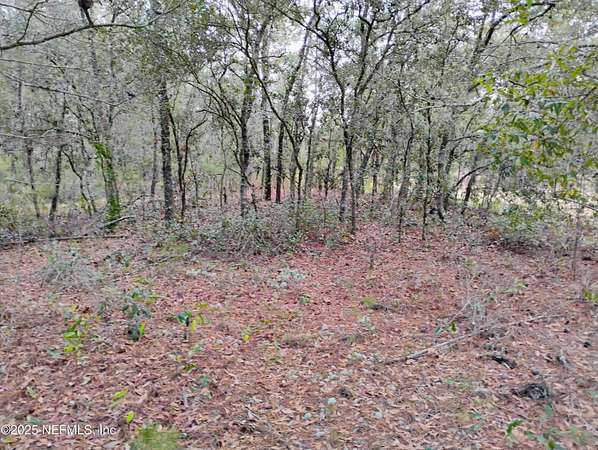 0.22 Acres of Land for Sale in Interlachen, Florida