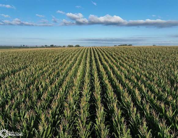 40 Acres of Agricultural Land for Auction in Conrad, Iowa