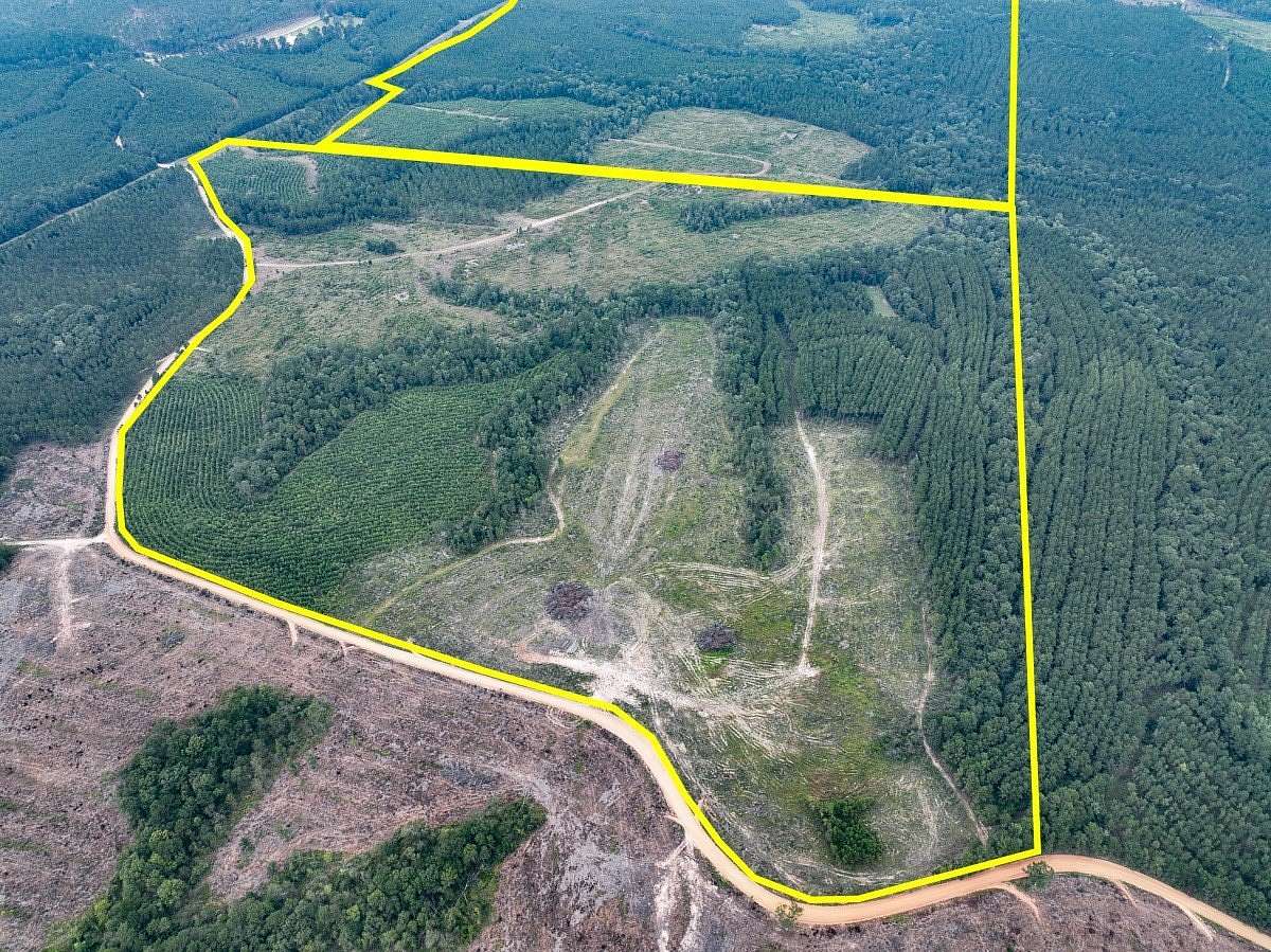 265 Acres of Recreational Land & Farm for Sale in Corrigan, Texas