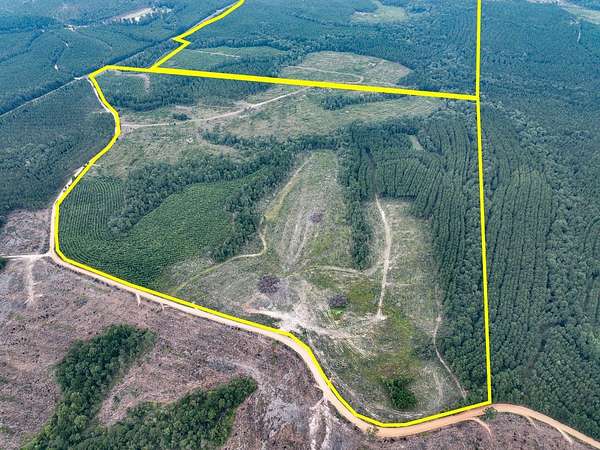 265 Acres of Recreational Land & Farm for Sale in Corrigan, Texas