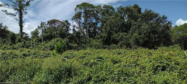 0.46 Acres of Residential Land for Sale in Lake Placid, Florida