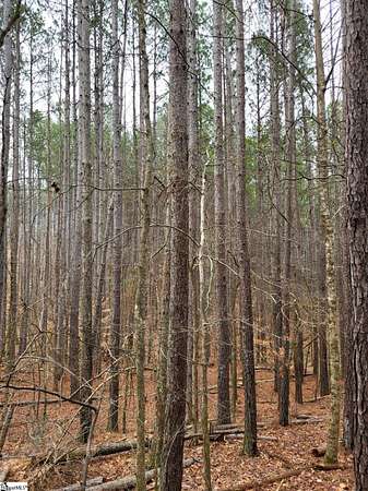 5 Acres of Residential Land for Sale in Spartanburg, South Carolina