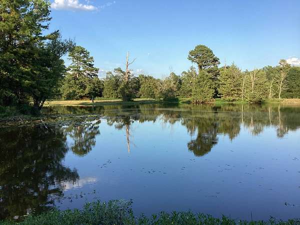 61.3 Acres of Land for Sale in Mena, Arkansas