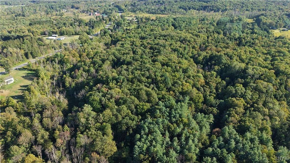 37.6 Acres of Land for Sale in Holland Patent, New York