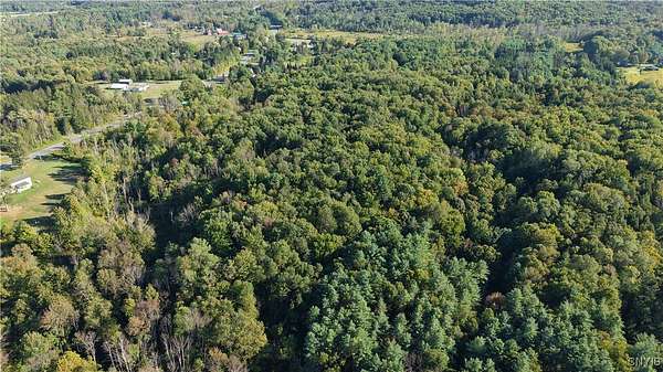 37.6 Acres of Land for Sale in Holland Patent, New York