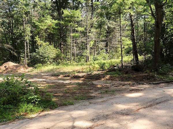 5 Acres of Residential Land for Sale in Newaygo, Michigan