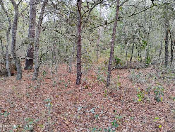 0.22 Acres of Residential Land for Sale in Interlachen, Florida