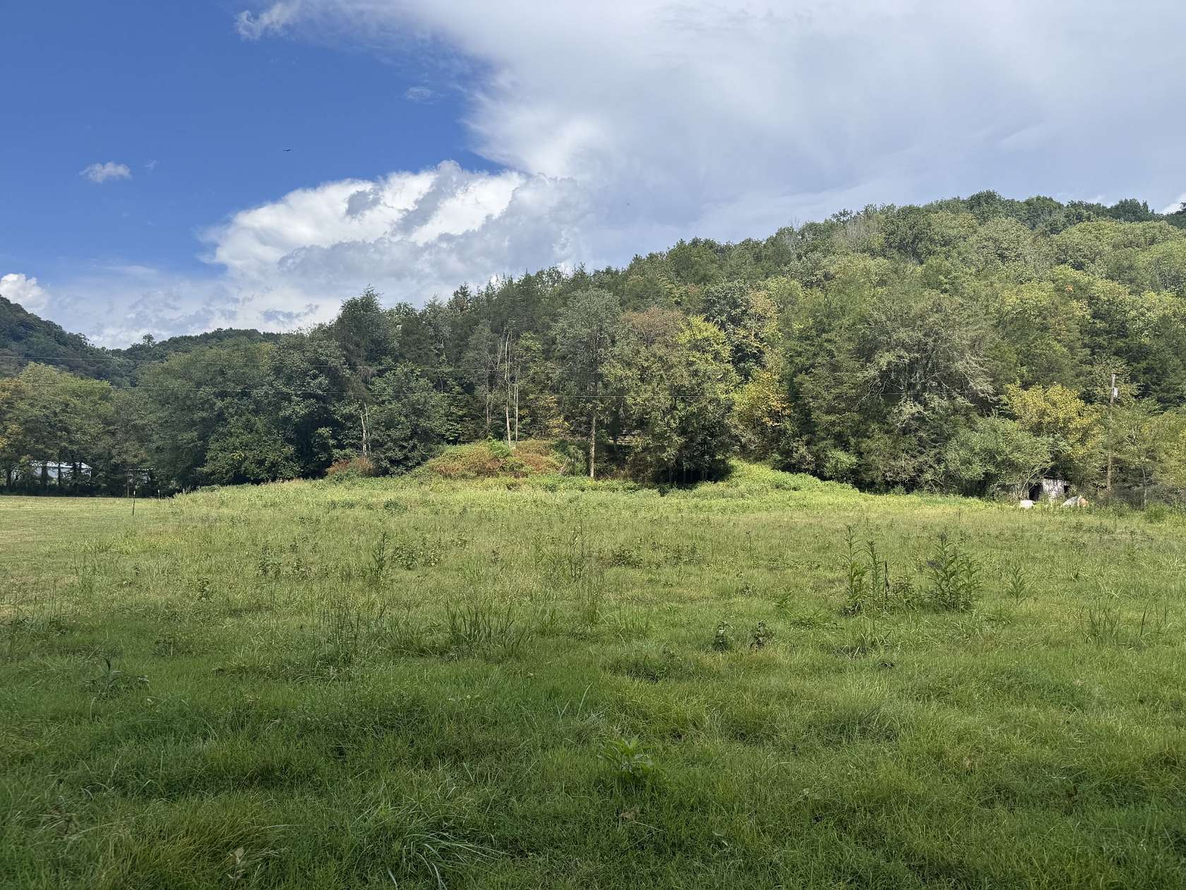 53.4 Acres of Land for Sale in Gainesboro, Tennessee