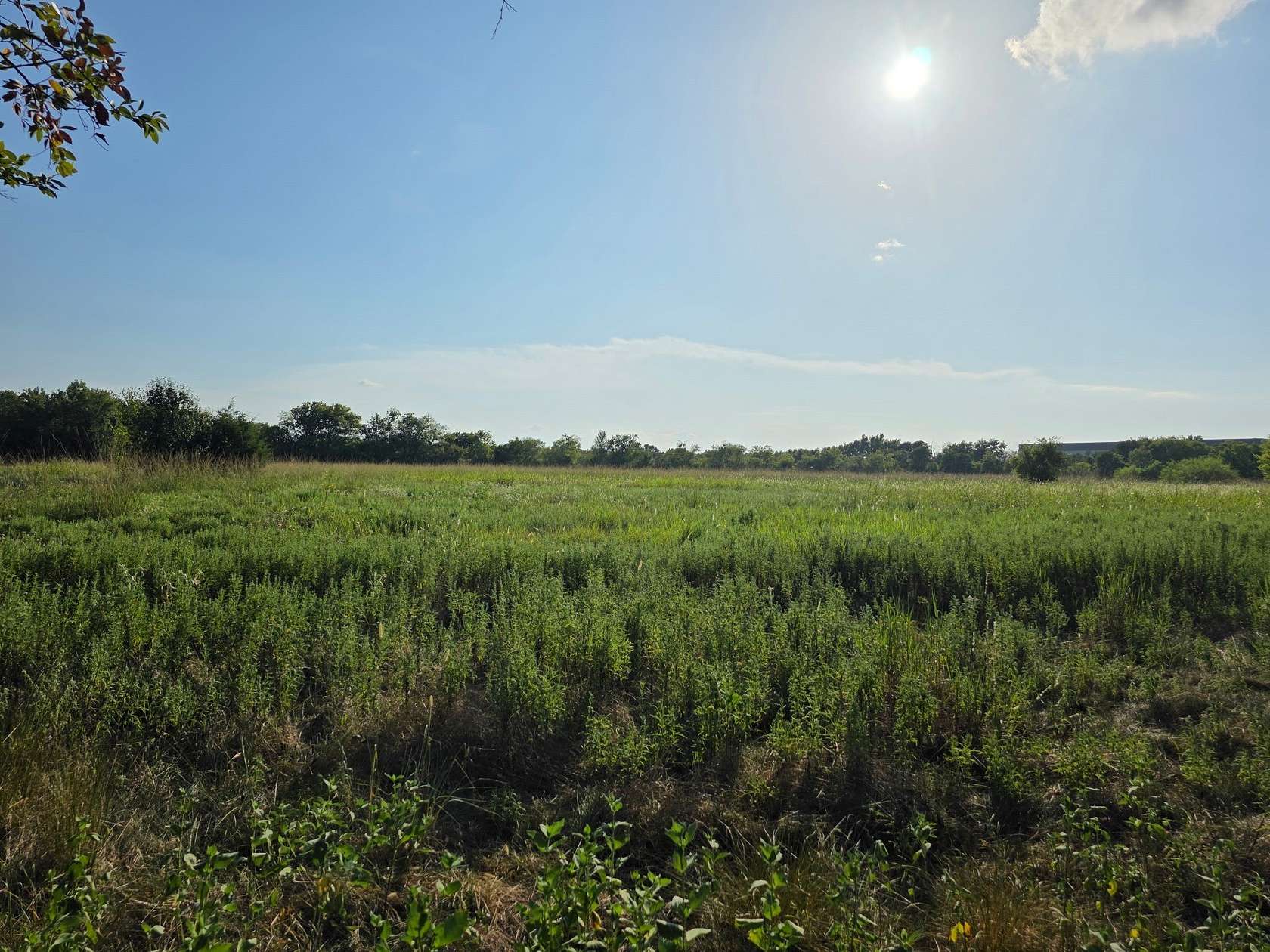 6.24 Acres of Land for Sale in Groesbeck, Texas