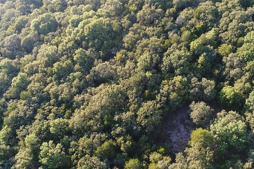 24.8 Acres of Recreational Land for Sale in Collinsville, Texas