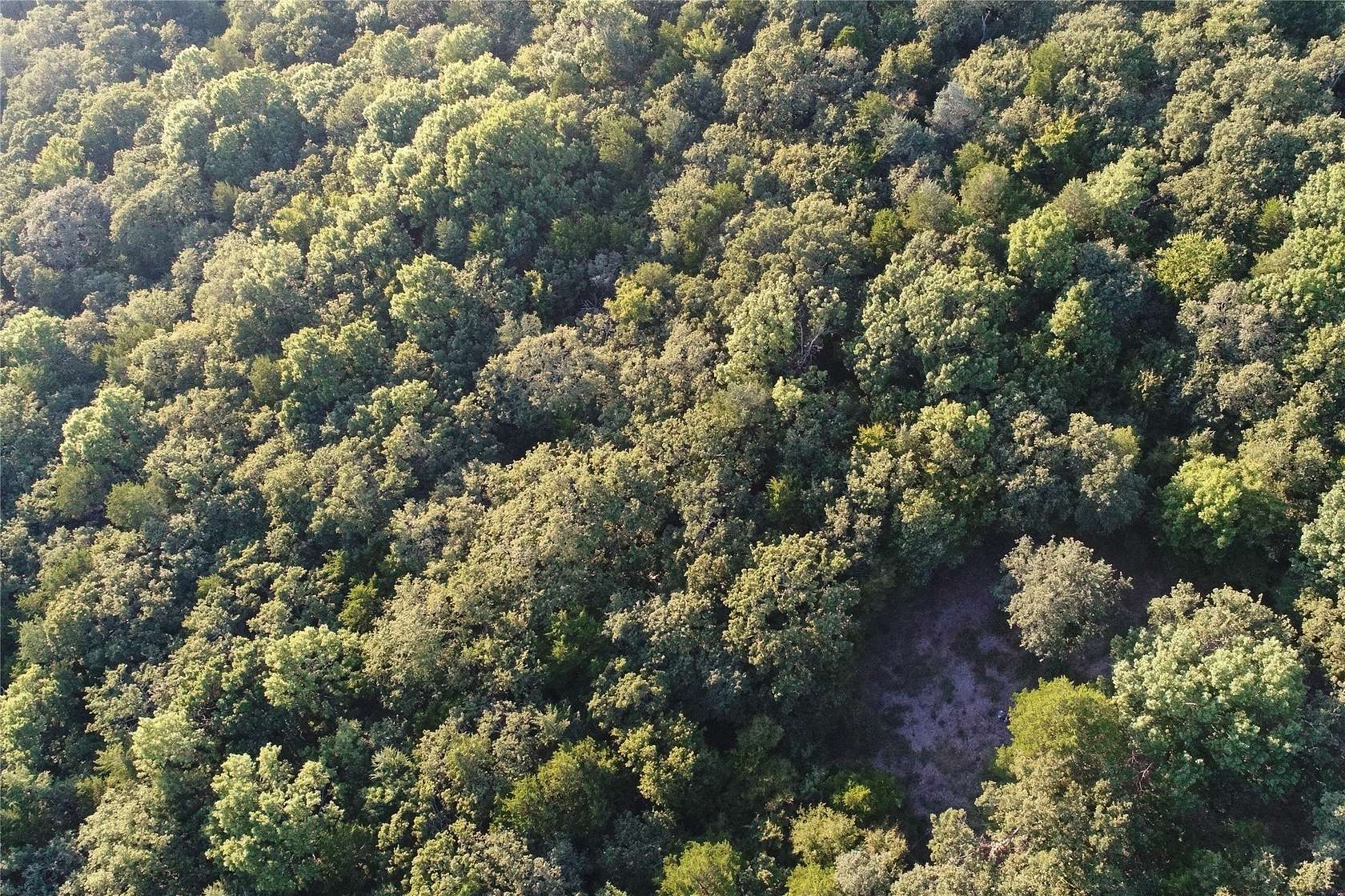 24.8 Acres of Recreational & Residential Land for Sale in Collinsville, Texas