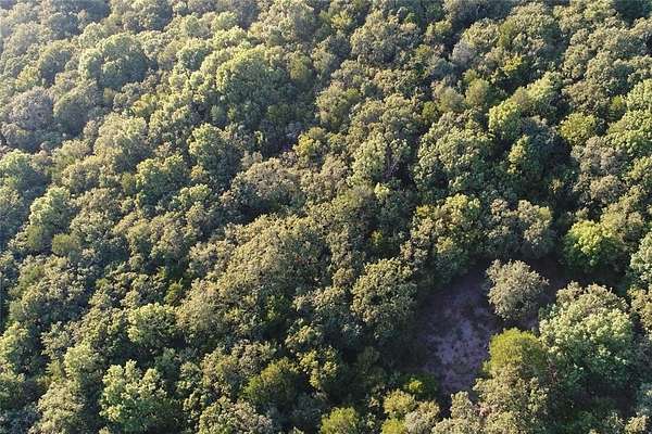 24.8 Acres of Recreational Land for Sale in Collinsville, Texas