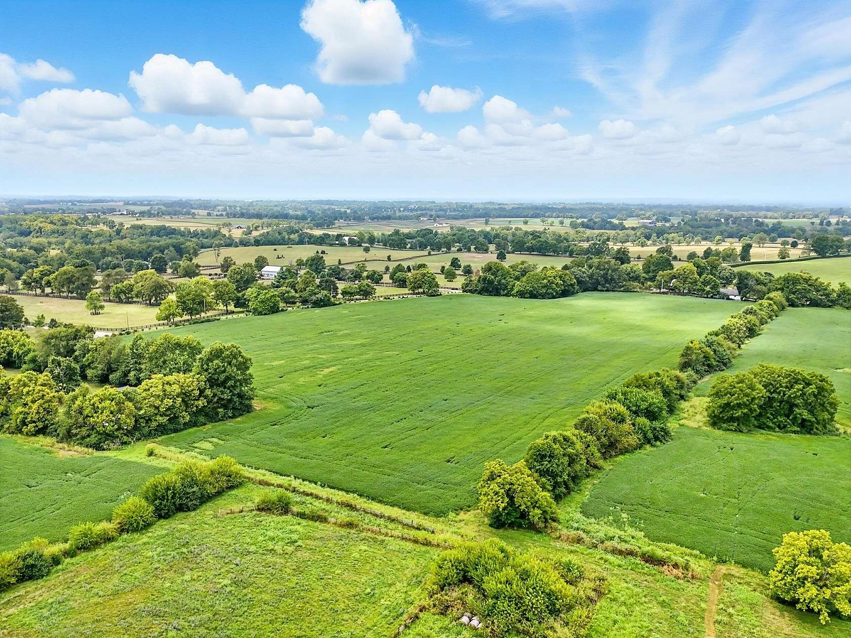 248 Acres of Agricultural Land with Home for Sale in Versailles, Kentucky