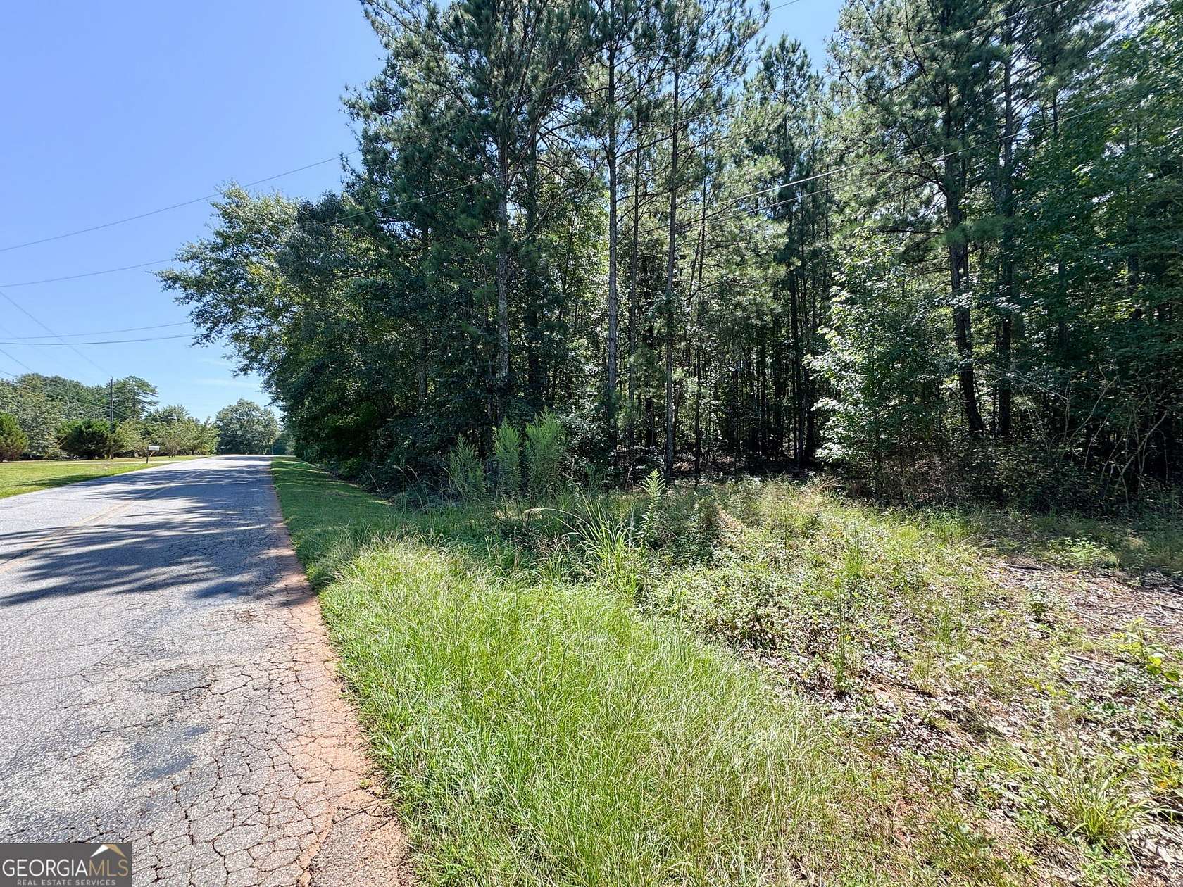 18 Acres of Land for Sale in Jackson, Georgia